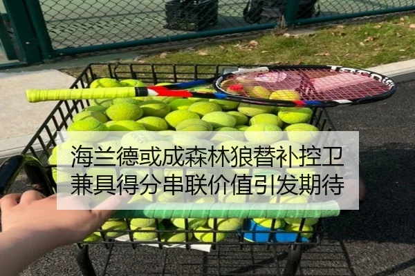 海兰德或成森林狼替补控卫 兼具得分串联价值引发期待（MilanSports）